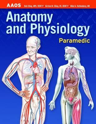 Anatomy & Physiology Paramedic
