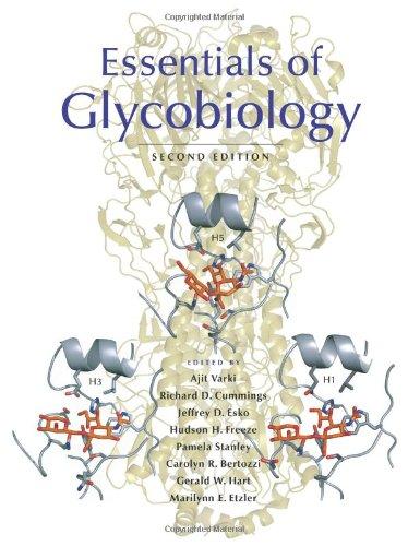 Essentials of Glycobiology, Second Edition 