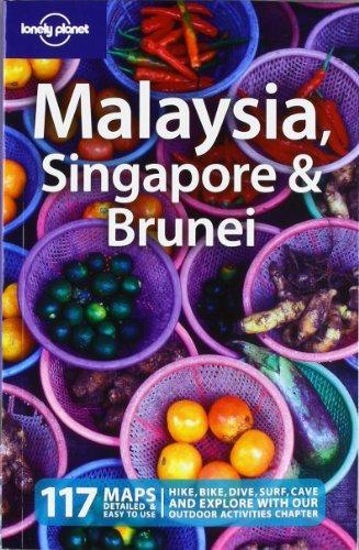 Lonely Planet Malaysia Singapore and Brunei (Country Travel Guide) 