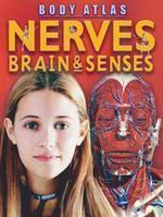 Body Atlas: Nerves Brain & Senses