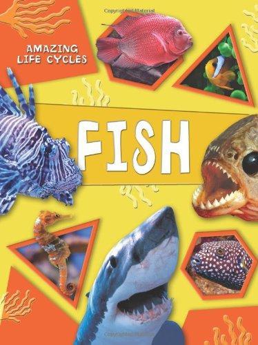 Amazing Life Cycles: Fish