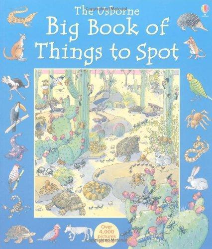 Big Book of Things to Spot (Young searches) 