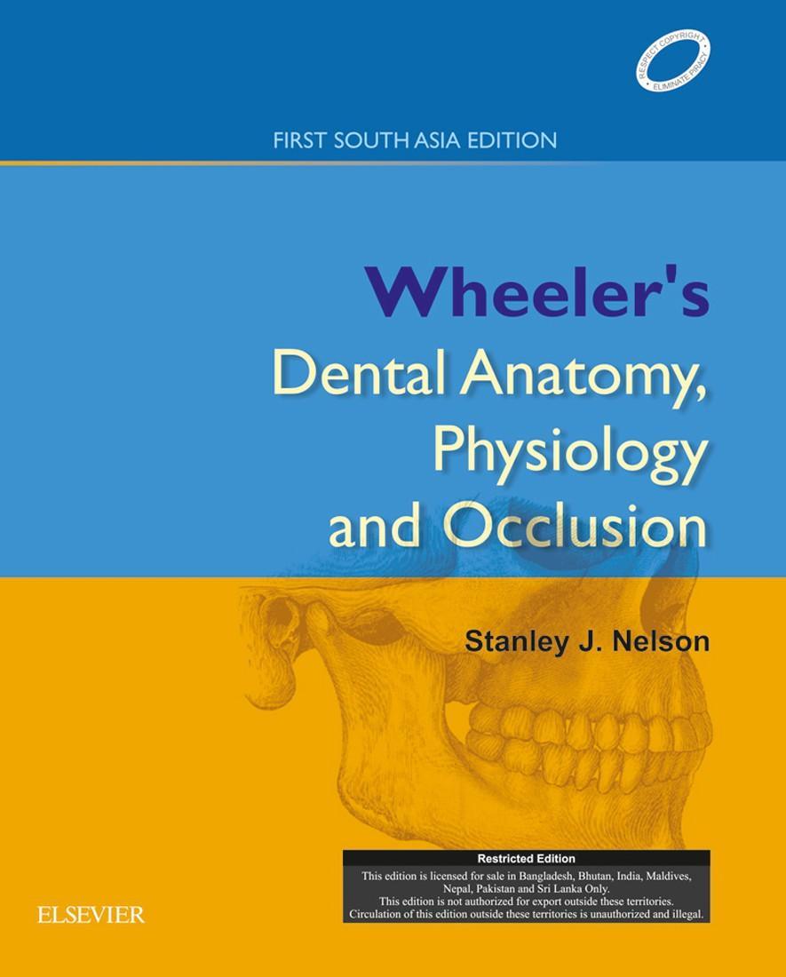 Nelson - Wheeler's Dental Anatomy, Physiology and Occlusion : First South Asia Edition (English) 1st Edition
