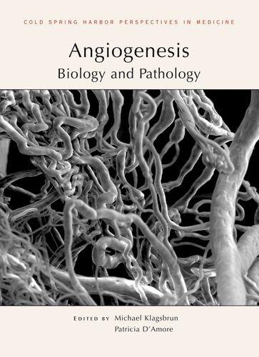 Angiogenesis: Biology and Pathology