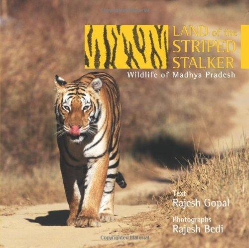 Land of the Striped Stalker: Wildlife of Madhya Pradesh