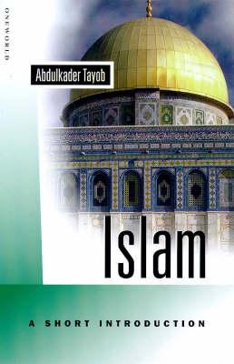 Islam: A Short Introduction: Signs, Symbols and Values (Oneworld Short Guides S.)
