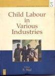 Child Labour in Various Industries (Encyclopaedia of Child Development Priorities for the 21st Century)