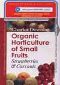 Organic Horticulture of Small Fruits: Strawberries & Currants 