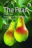 The Pear: Production Post-Harvest Management and Protection 