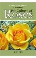 Pot Culture of Roses (Agro's Gardening) 