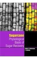 Sugacane Physiological Basis of Sugar Recovery