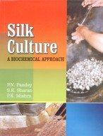 Silk Culture 