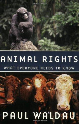 Animal Rights: What EveryoneNeeds to Know