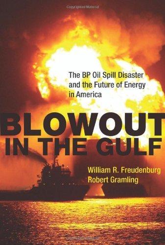 Blowout in the Gulf: The BP Oil Spill Disaster and the Future of Energy in America 