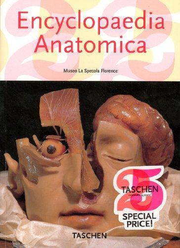 Encyclopedia Anatomica