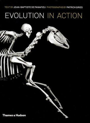 Evolution in Action: Natural History Through Spectacular Skeletons. Jean-Baptiste de Panafieu and Patrick Gries 