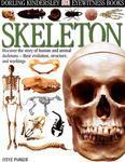 Skeleton (DK Eyewitness Books)