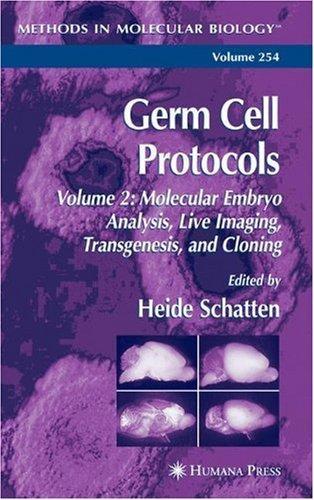 Germ Cell Protocols: Volume 2: Molecular Embryo Analysis, Live Imaging, Transgenesis, and Cloning (Methods in Molecular Biology) 