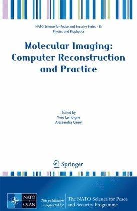 Molecular Imaging: Computer Reconstruction and Practice (NATO Science for Peace and Security Series B: Physics and Biophysics) 