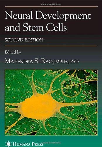 Neural Development and Stem Cells (Contemporary Neuroscience) 