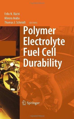 Polymer Electrolyte Fuel Cell Durability 