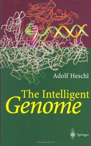 The Intelligent Genome: On the Origin of the Human Mind by Mutation and Selection