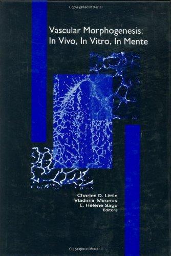 Vascular Morphogenesis: in Vivo, in Vitro, in Mente