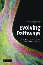 Evolving Pathways: Key Themes in Evolutionary Developmental Biology