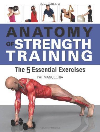 Anatomy of Strength Training: The Five Essential Exercises 