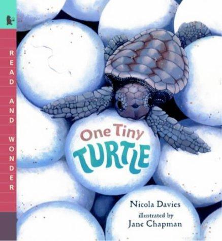 One Tiny Turtle (Read & Wonder) 