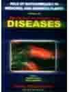 Analytical Spectroscopy