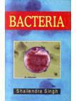 Bacteria