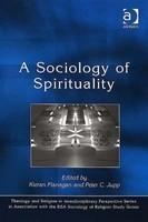 A Sociology of Spirituality (Theology and Religion in Interdisciplinary Perspective Series in Association With the Bsa Sociology of Religion Study Group)