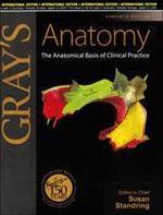 Gray'S Anatomy: The Anatomical Basis Of Clinical Practice