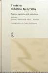 The New Industrial Geography: Regions, Regulation and Institutions (Routledge Studies in the Modern World Economy)