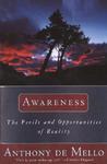 Awareness: The Perils and Opportunities of Reality