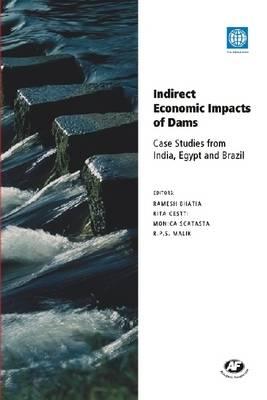 Indirect Economic Impacts of Dams: Case Studies from India, Egypt and Brazil