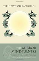 The Mirror of Mindfulness, Updated Edition: The Cycle of the Four Bardos