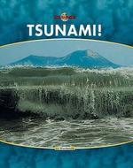 Nature\'s Fury: Tsunami