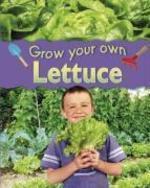 Grow Your Own Lettuce