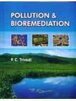 Pollution & Bioremediation
