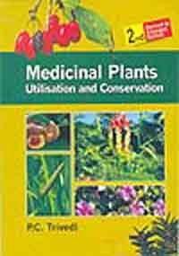 Medicinal Plants: Utilisation & Conservation