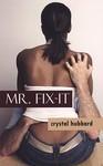 Mr. Fix-It (Indigo Love Spectrum) paperback / softback Edition