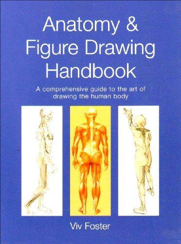  Anatomy & Figure Drawing Handbook 