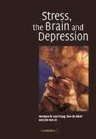 Stress, the Brain and Depression