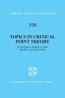 Topics in Critical Point Theory