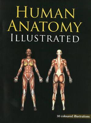Human Anatomy Illustrated: 30 Coloured Illustrations With Marking.