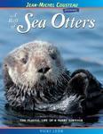 A Raft of Sea Otters: The Playful Life of a Furry Survivor 0002 Edition