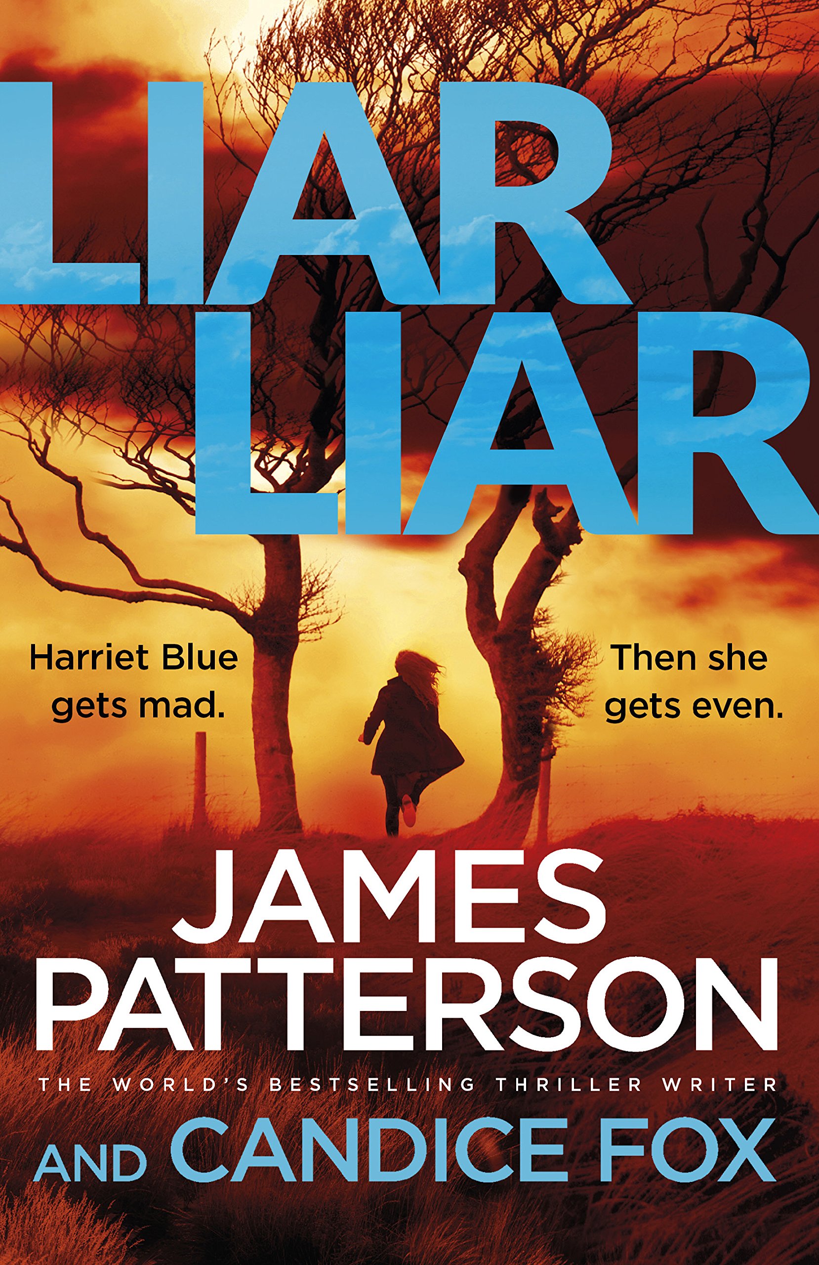 Liar Liar (Detective Harriet Blue Series)