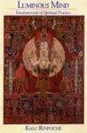 Luminous Mind: The Way of the Buddha